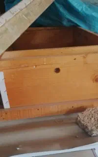 تعدادی کندو و طبق معاوضه با زنبور
