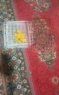 قفسه کتاب