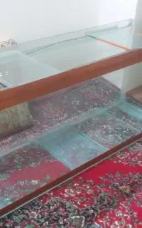 آکواریوم ماهی زینتی و پرورشی