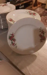 پلو خوری زرین گل سرخ