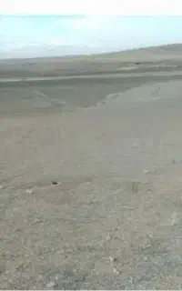 زمین دیم