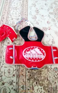 هوگو تکواندو