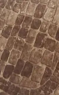 موکت
