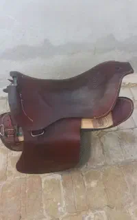 زین برنو
