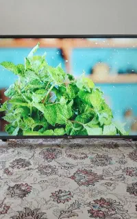 ال ای دی ۴۲ ال جی دیجیتال داخلی