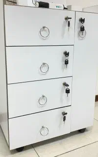 ترولی فشیال