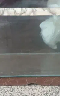 اکواریوم بزرگ