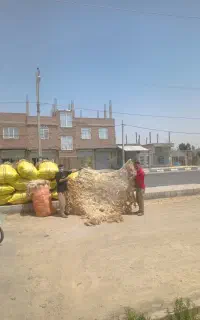 پشم فروشی نوید محمدفام