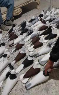 انواع مجسمه گچی