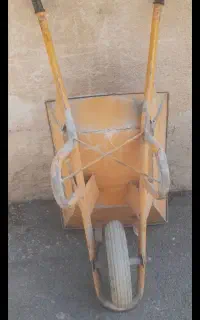 فرغون