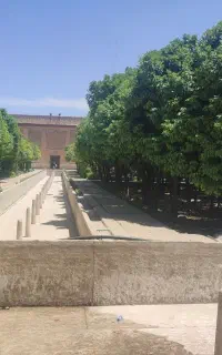 تجربه کار درپرورش الوئه ورا و گلخانه