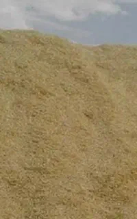 کاه گندم