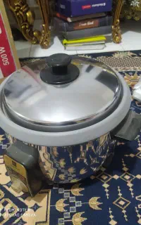 پلو پز برقی برند ناسیونال ژاپن