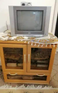 تلویزیون