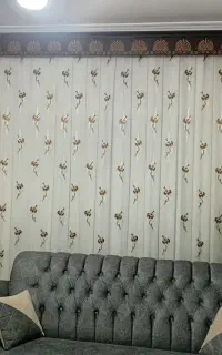 دوعددپرده یک اندازه