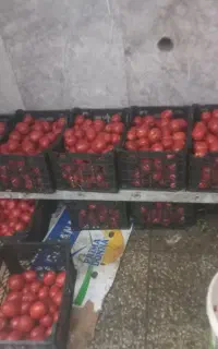 گوجه