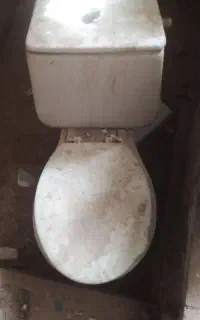 توالت فرنگی