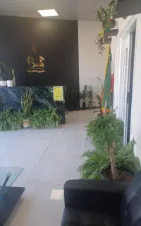 استخدام
