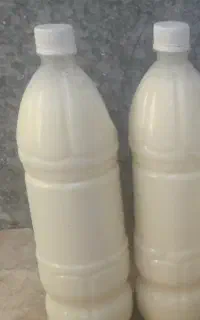 فروش دوغ محلی به تعداد محدود ۱۰۰ تومن