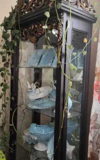 فروش ویترین