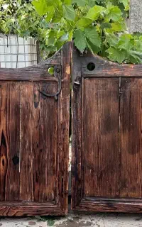 درب کابویی چوب گردو