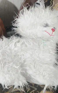 دو عدد عروسک پارچه ای