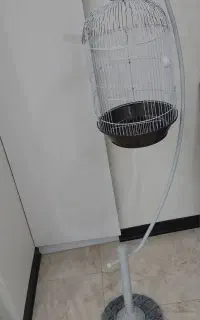 قفس پرنده ایستاده