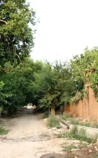 باغ
