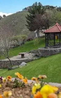 تور و چارتر