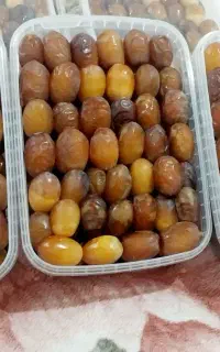 رطب