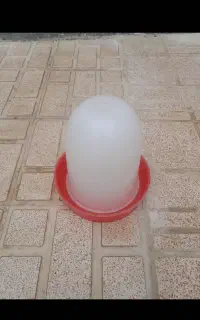 دانخوری و آب خوری