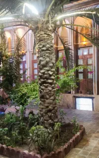 سوییت واتاق در اقامتگاه بومگردی وهتل سنتی طارونه