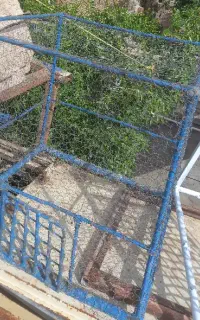 قفس پرنده