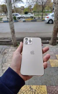 ۱۲ پرومکس zaa 256 رنگ طلایی با ریجستر