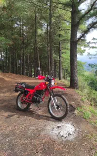 ایکسل 250 نیکتاز 1404