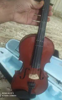 ویولن
