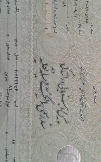 پژو207 پانوراما اتوماتیک Tup5