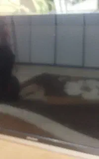ال ای دی