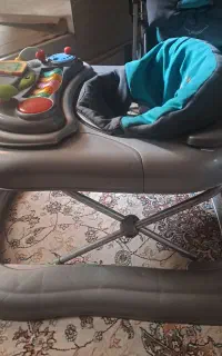 کریر نیوست ،روروئک  دلیجان