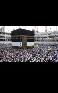 فروش فیش تمتع