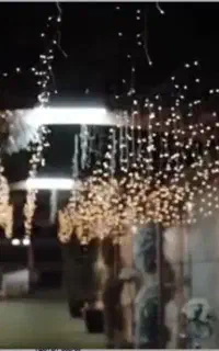 جشن ویژه بانوان
