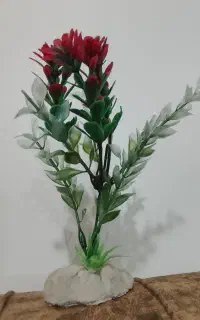 گل آکواریوم