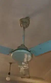 پنکه