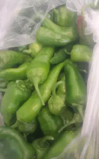 فلفل تنددرجه یک یک
