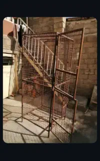 قفس خروس لاری