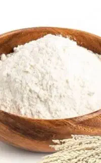 گرده نخل خرما