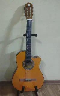 گیتار و استند