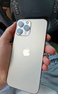 ۱۳پرومکس