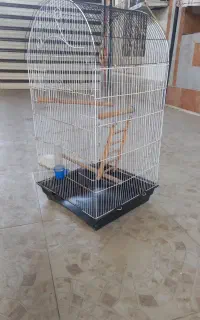 قفس یک متری پرنده