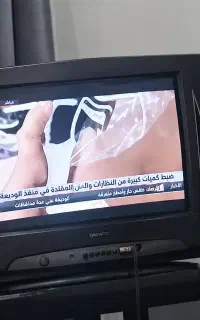 تلویزیون